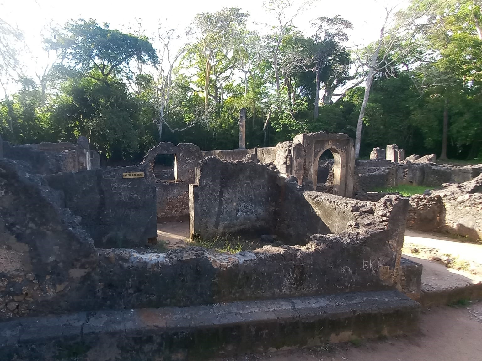 Le rovine di Gede nella foresta